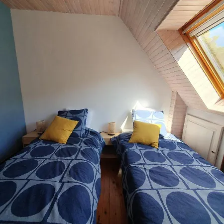 Le Chant Du Loriot *