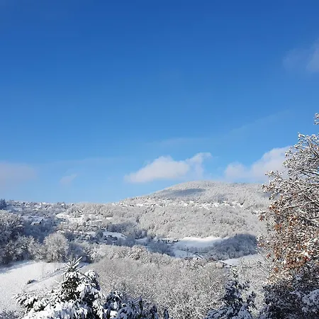 Le Chant Du Loriot *