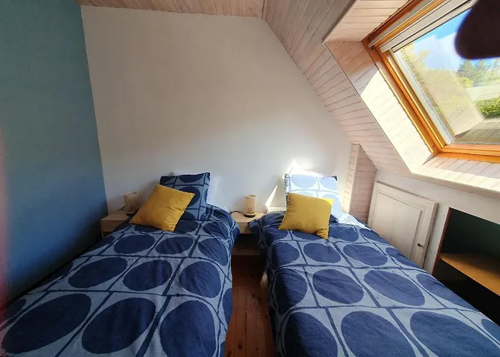 Le Chant Du Loriot *