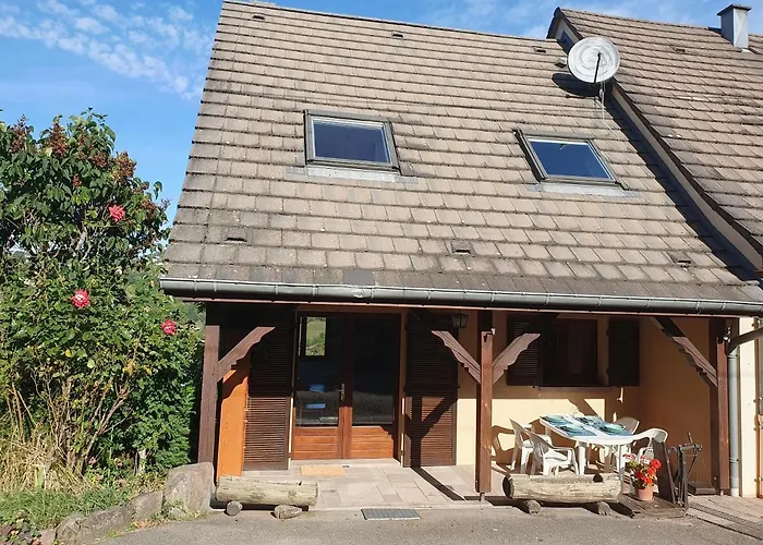 Le Chant Du Loriot *