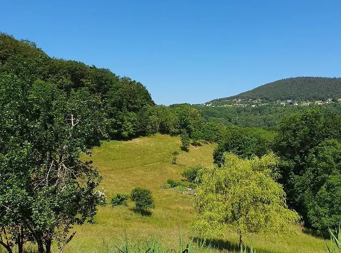 Le Chant Du Loriot Apartment Labaroche