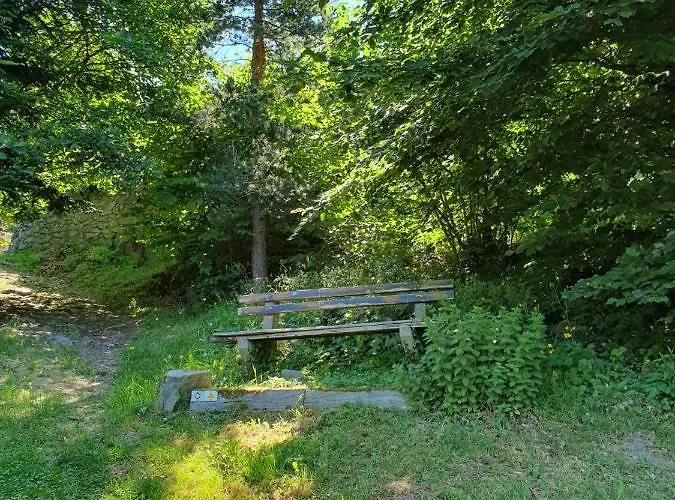 Le Chant Du Loriot Apartment Labaroche