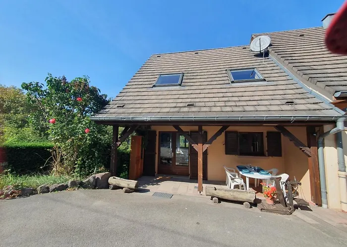 Le Chant Du Loriot *