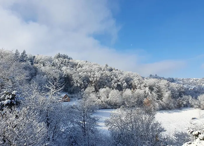 Le Chant Du Loriot Apartment