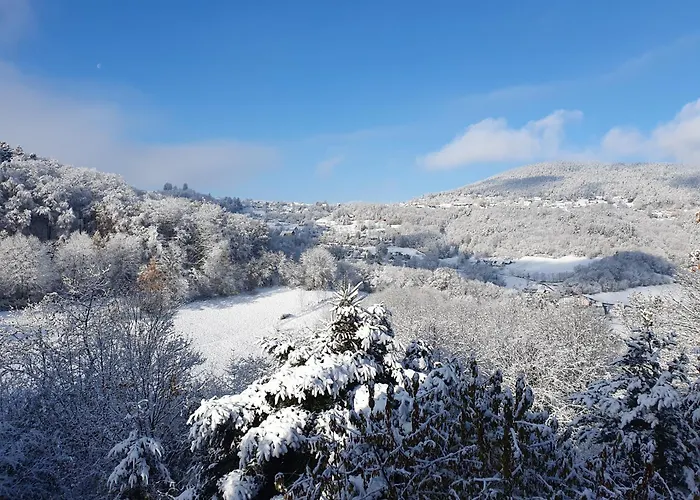 Le Chant Du Loriot Labaroche